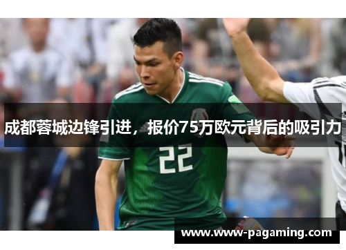 成都蓉城边锋引进，报价75万欧元背后的吸引力