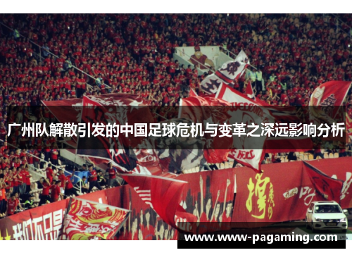 广州队解散引发的中国足球危机与变革之深远影响分析