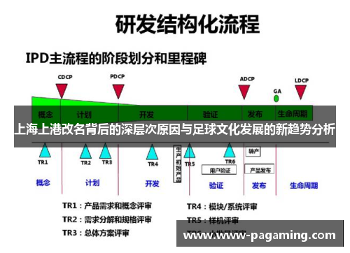 上海上港改名背后的深层次原因与足球文化发展的新趋势分析