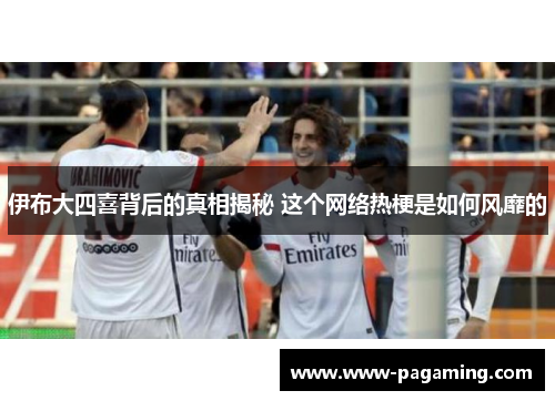 伊布大四喜背后的真相揭秘 这个网络热梗是如何风靡的