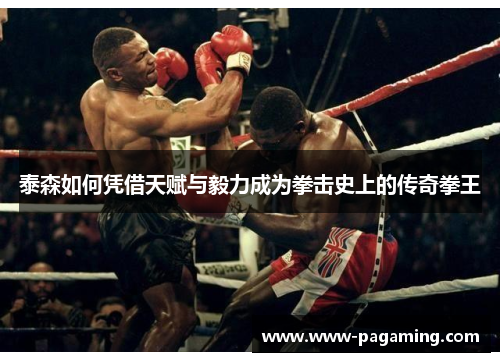 泰森如何凭借天赋与毅力成为拳击史上的传奇拳王