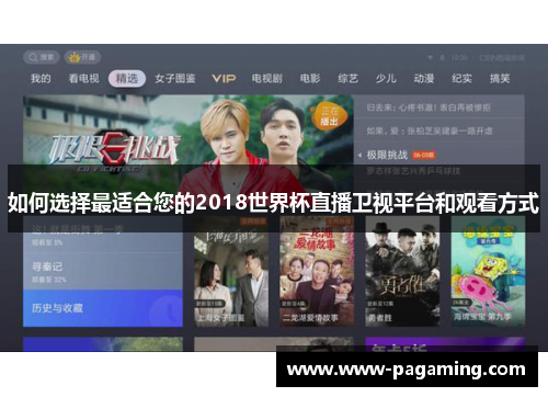 如何选择最适合您的2018世界杯直播卫视平台和观看方式