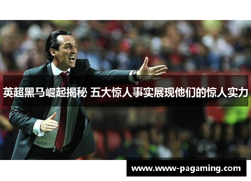 英超黑马崛起揭秘 五大惊人事实展现他们的惊人实力