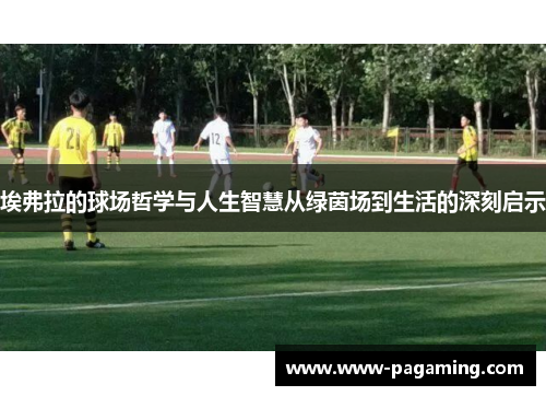 埃弗拉的球场哲学与人生智慧从绿茵场到生活的深刻启示