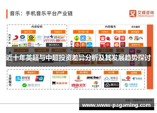 近十年英超与中超投资差异分析及其发展趋势探讨