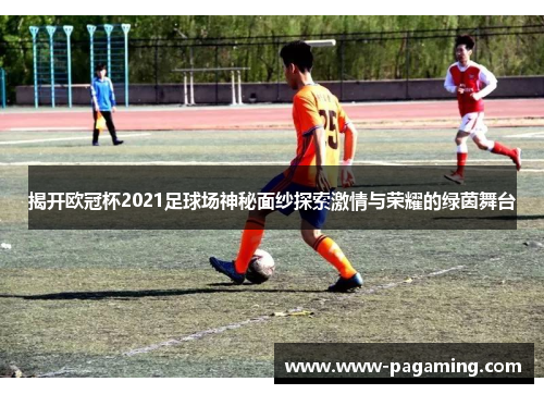 揭开欧冠杯2021足球场神秘面纱探索激情与荣耀的绿茵舞台