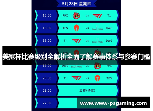 美冠杯比赛级别全解析全面了解赛事体系与参赛门槛