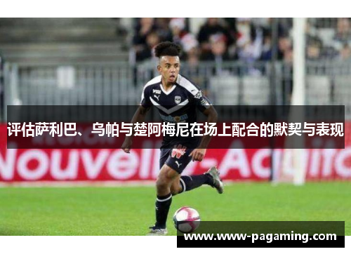 评估萨利巴、乌帕与楚阿梅尼在场上配合的默契与表现